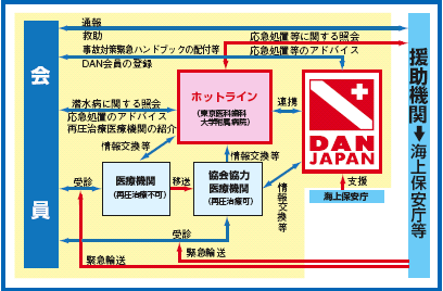 DAN JAPANzbgCT[rXTO}