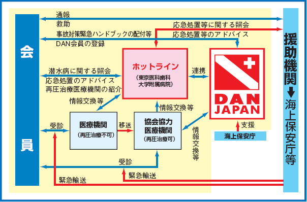 DAN JAPANzbgCT[rXTO}