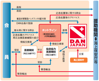 DAN JAPANzbgCT[rXTO}