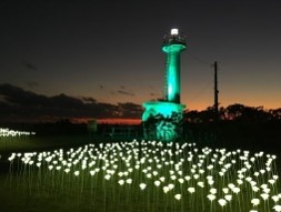 灯台ライトアップ画像